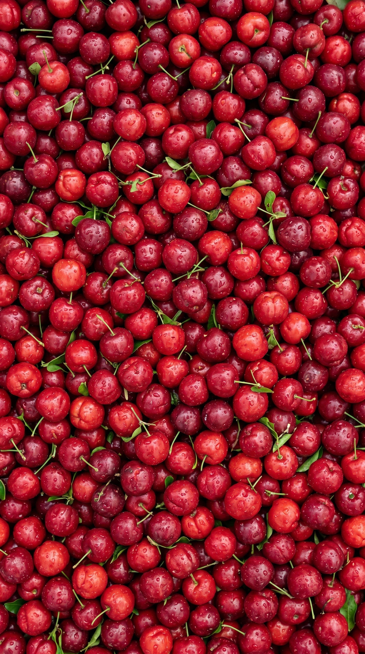Cherries 1