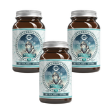 3 x Magnesiumglycinat (270 kapslar)